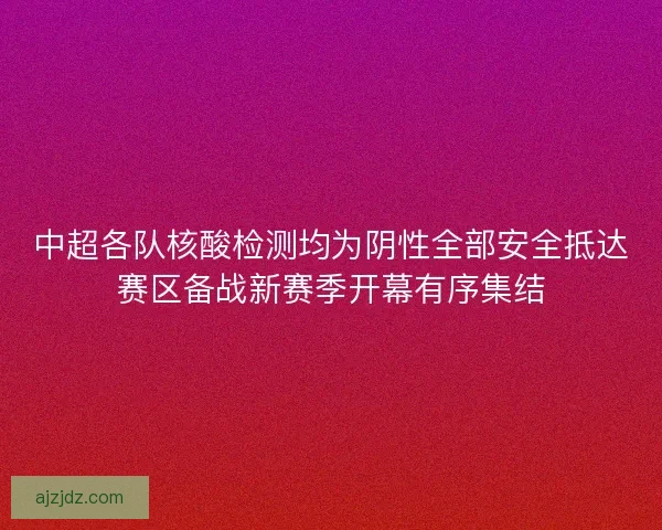 中超各队核酸检测均为阴性全部安全抵达赛区备战新赛季开幕有序集结