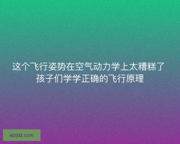 这个飞行姿势在空气动力学上太糟糕了 孩子们学学正确的飞行原理